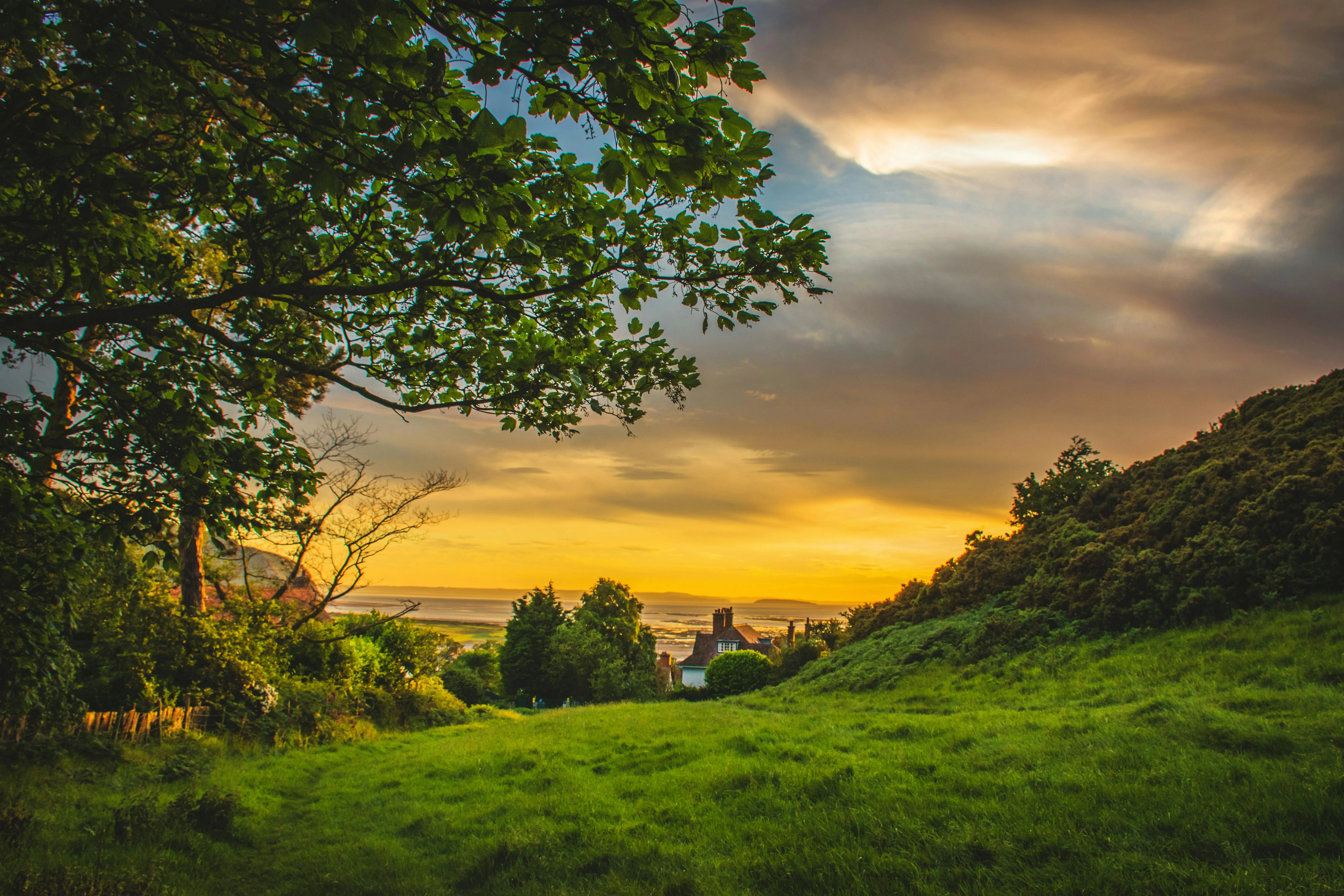 Landscape
